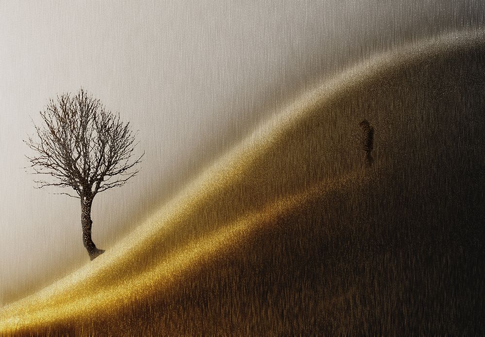 Golden hills art print by Helge Andersen for $57.95 CAD