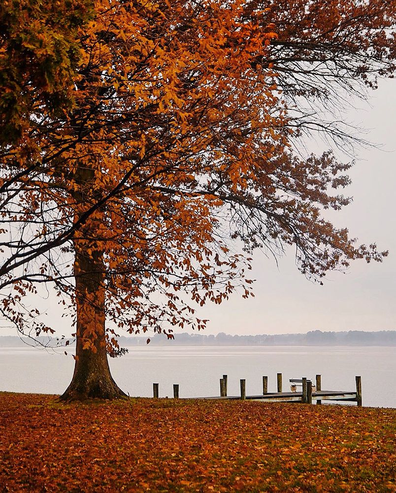 Autumn in Saint Michaels art print by Del Mundo Imagery for $57.95 CAD