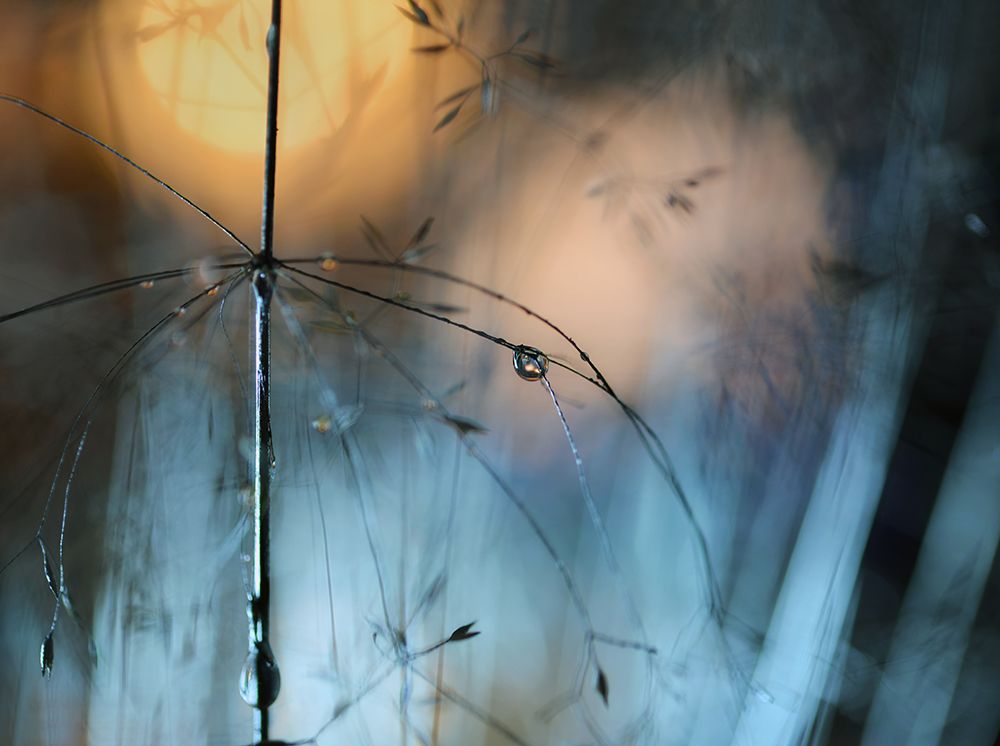 Almost Dark art print by Heidi Westum for $57.95 CAD