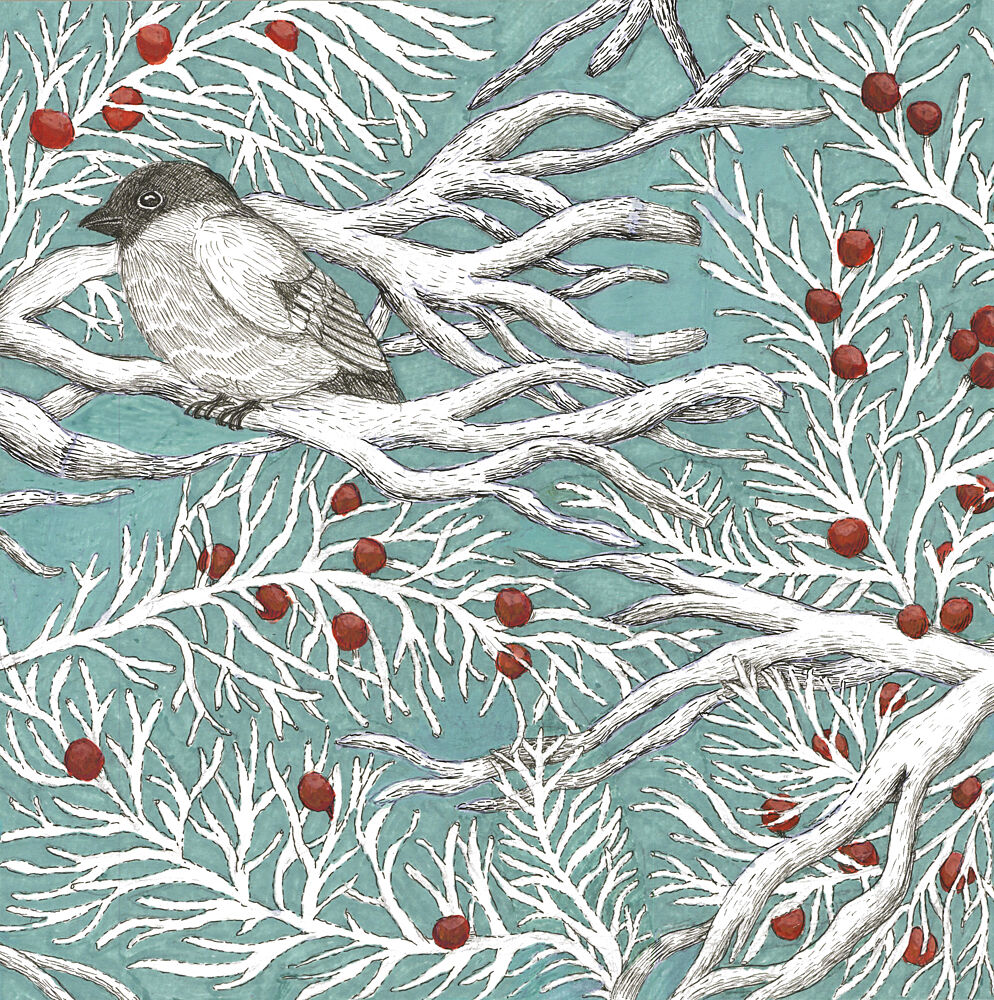 Winter Bird and Berries art print by Paulina Varregn for $57.95 CAD