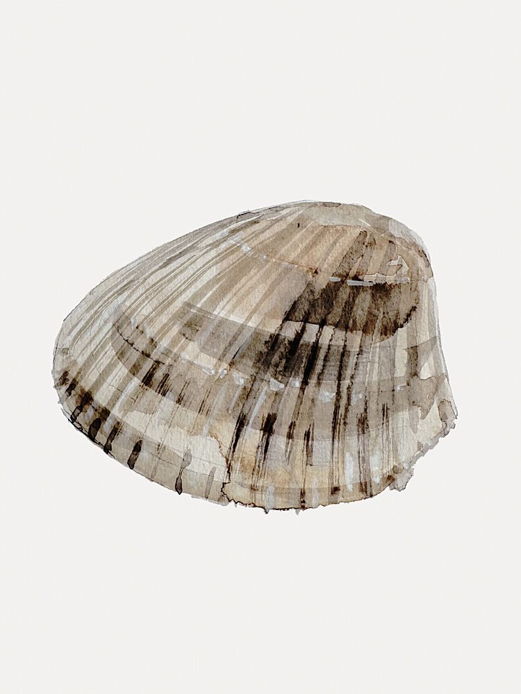 Seashell Serenity art print by Treechild for $57.95 CAD