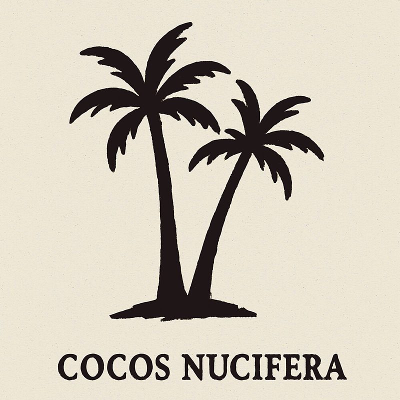Cocosnucifera art print by Treechild for $57.95 CAD