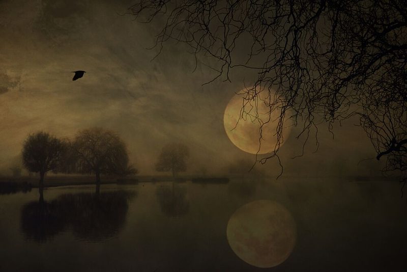 Misty Moon Reflection art print by Robert Fabrowski for $57.95 CAD