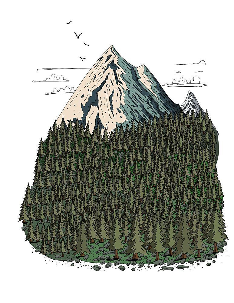 Mountain Forest Peaks art print by Nicholas for $57.95 CAD