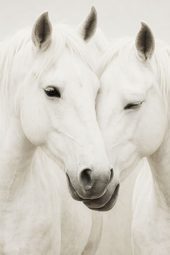 Equine Embrace art print by Treechild for $57.95 CAD