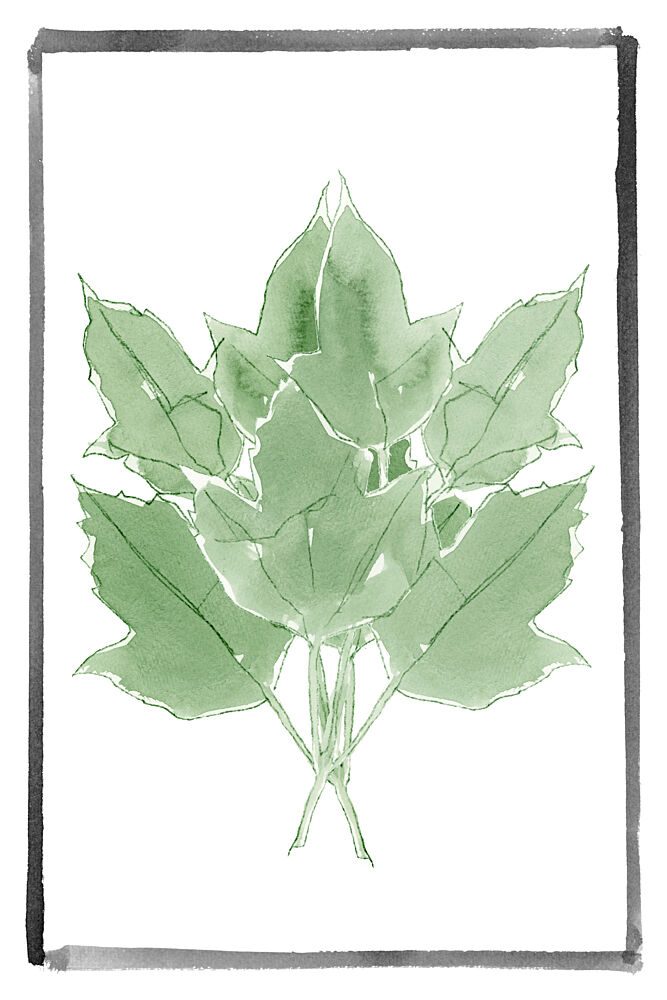 Fresh Green Leaves art print by Cartissi for $57.95 CAD