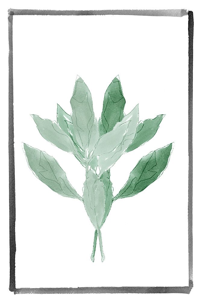 Soft Green Botanical art print by Cartissi for $57.95 CAD