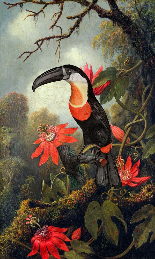 Tropical Toucan Passion Flowers art print by Marja van den Hurk for $57.95 CAD