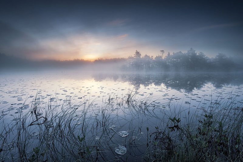 Misty Morning Lake art print by Benny Pettersson for $57.95 CAD