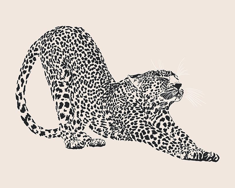 Elegant Leopard Stretch art print by Dotz and Cats for $57.95 CAD