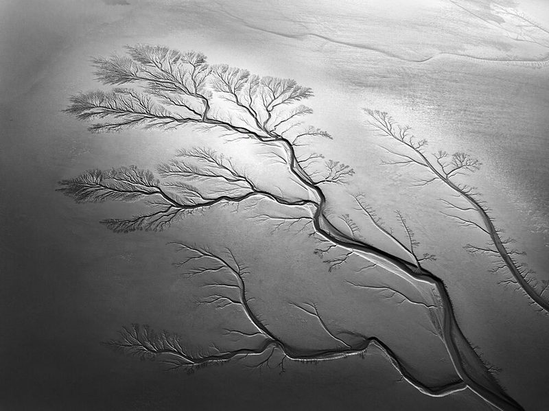 Abstract River Delta art print by Edcool for $57.95 CAD
