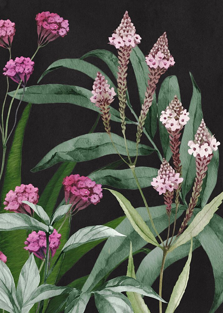 Dark Botanical Bloom art print by ThingDesign for $57.95 CAD