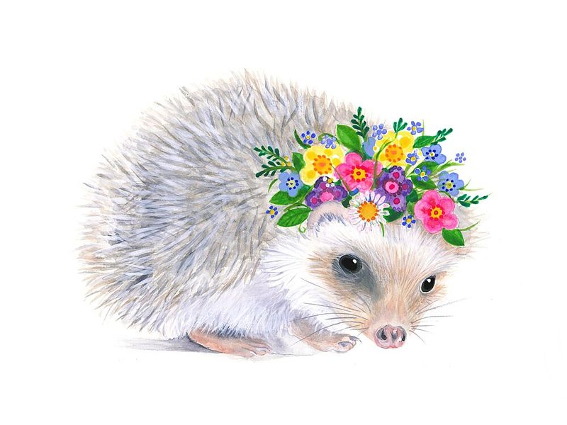 Spring Hedgehog art print by Isabelle Brent for $57.95 CAD