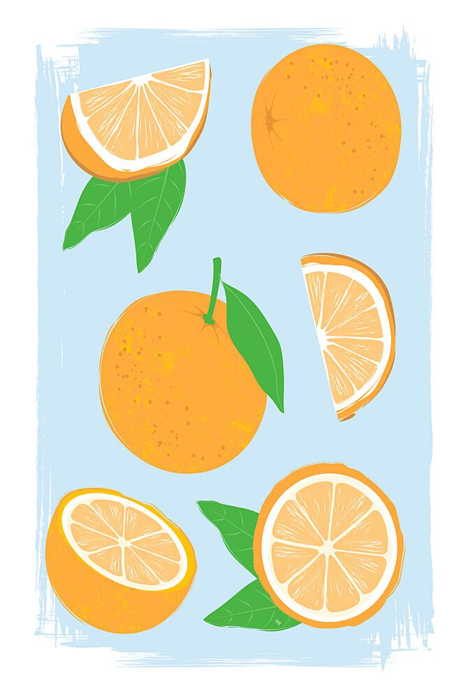 Vibrant Citrus Fruits art print by Martina for $57.95 CAD