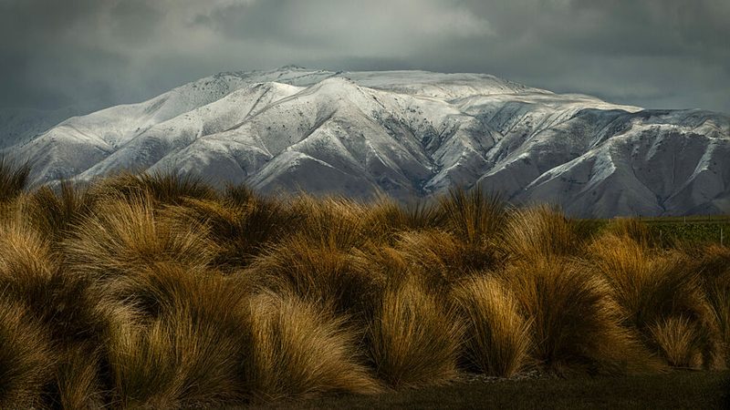 Golden Grass Snowy Mountains art print by Emanuel Papamanolis for $57.95 CAD