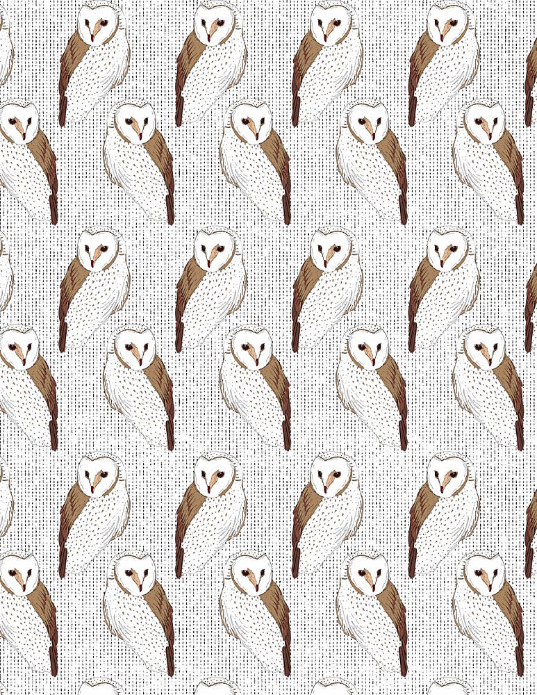 Graceful Barn Owls art print by Nicholas for $57.95 CAD