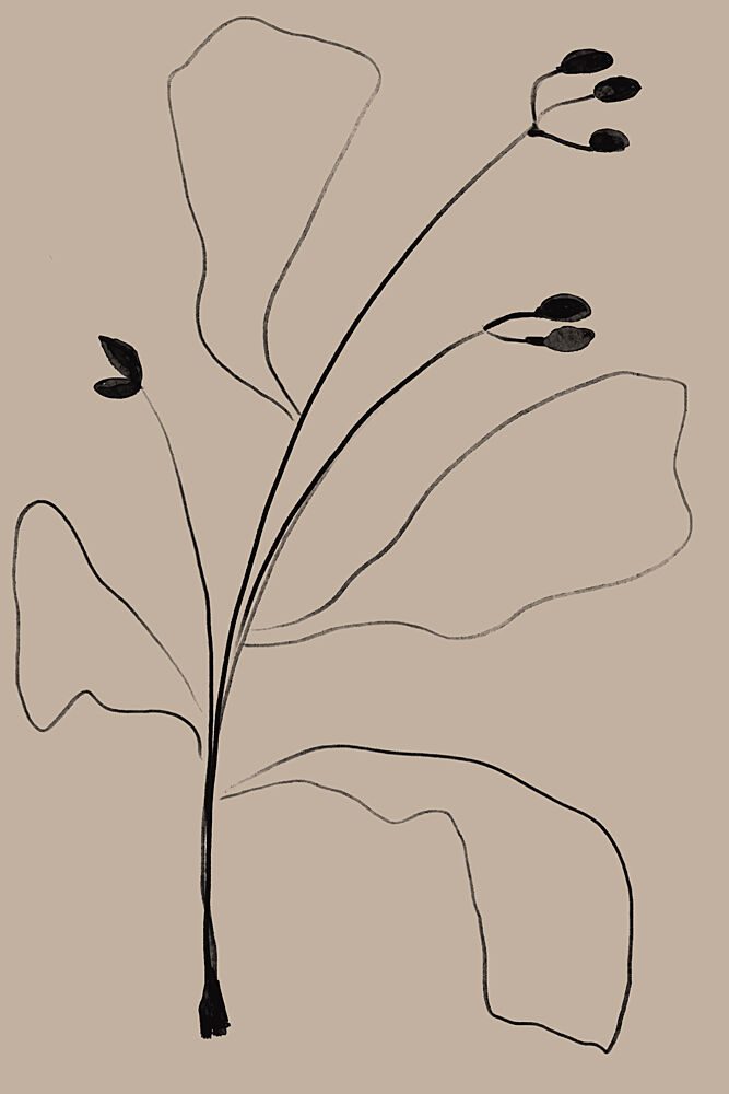 Simply Line Plant art print by The Miuus Studio for $57.95 CAD