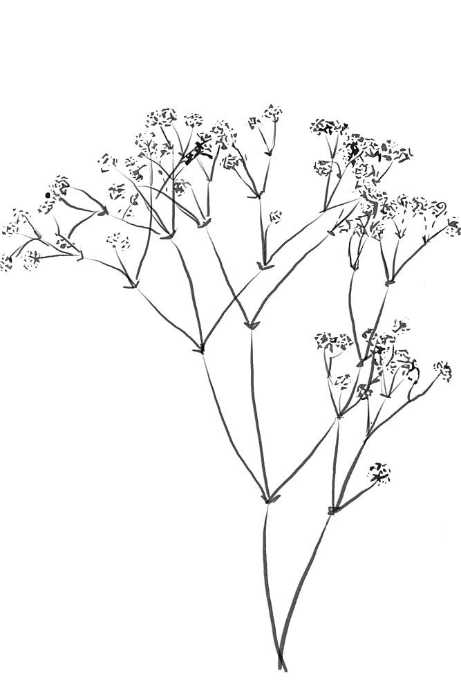 Drawing Line Plant art print by The Miuus Studio for $57.95 CAD