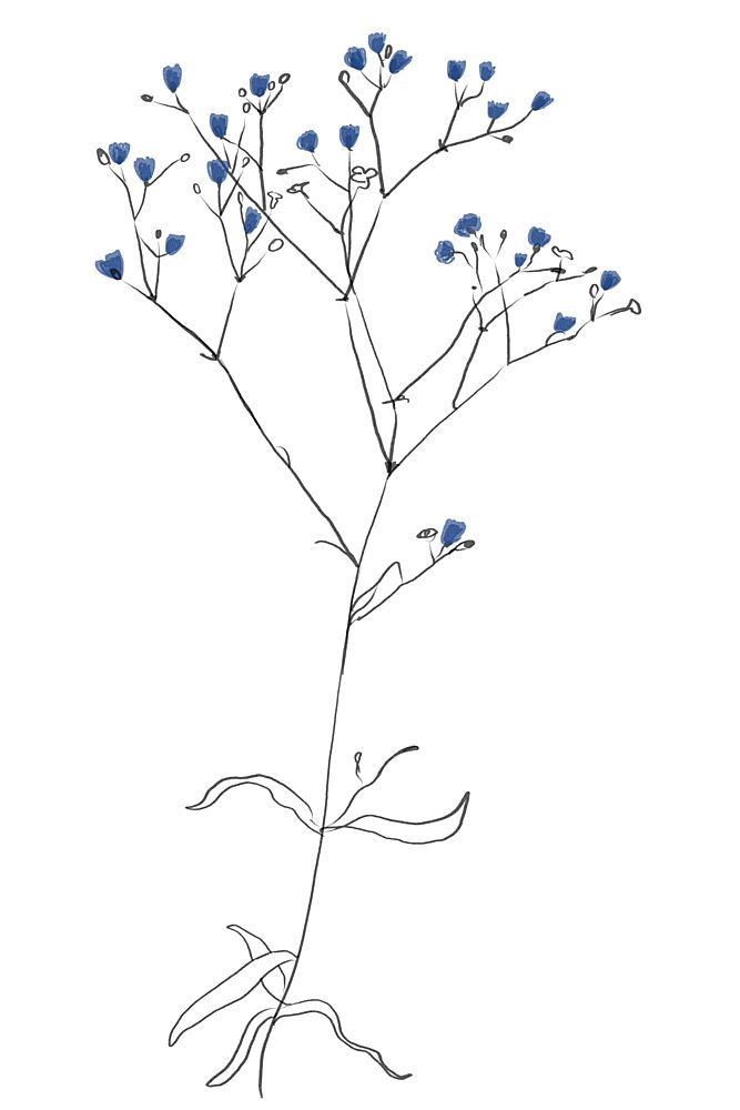 Simple Line Art Plant art print by The Miuus Studio for $57.95 CAD