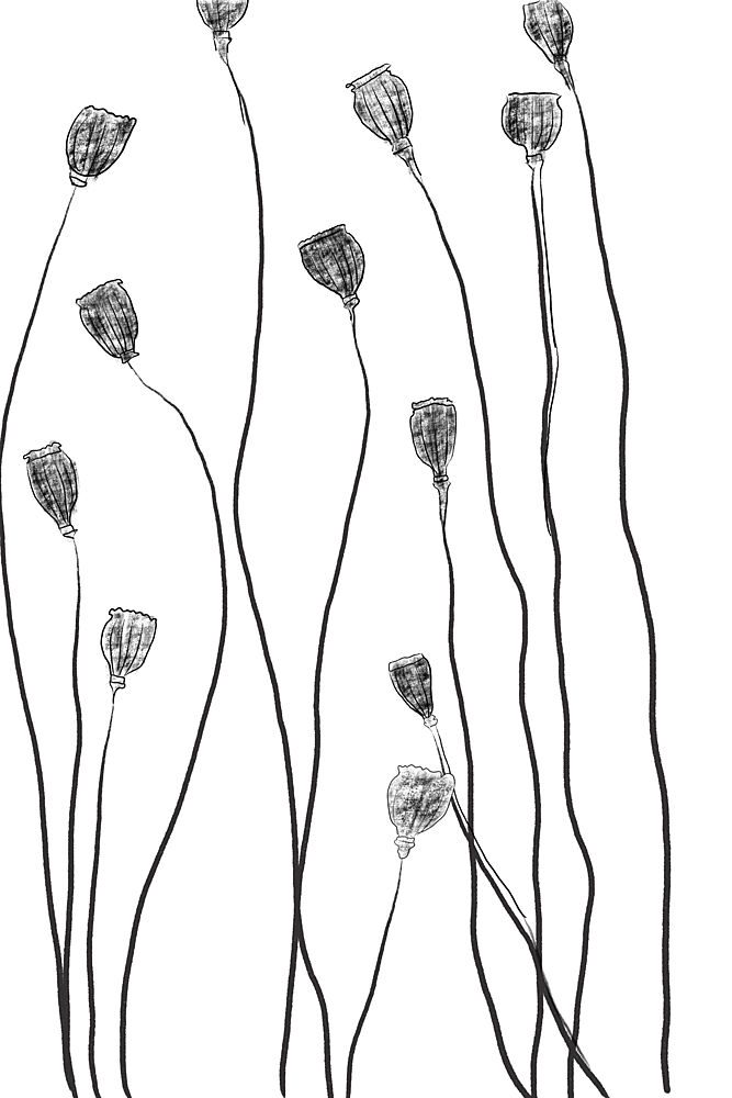 Minimal Line Plant art print by The Miuus Studio for $57.95 CAD
