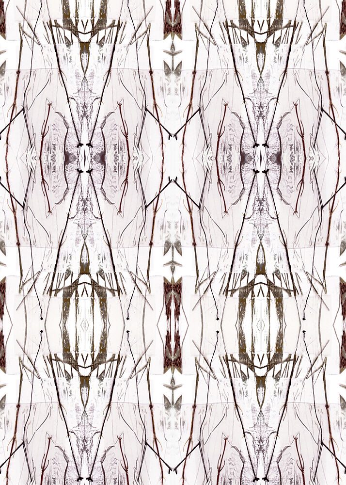 Symmetrical Nature Pattern art print by Jenja Braun for $57.95 CAD