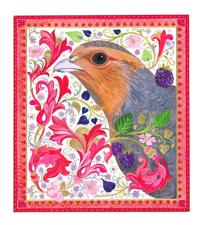 Partridge Portrait art print by Isabelle Brent for $57.95 CAD