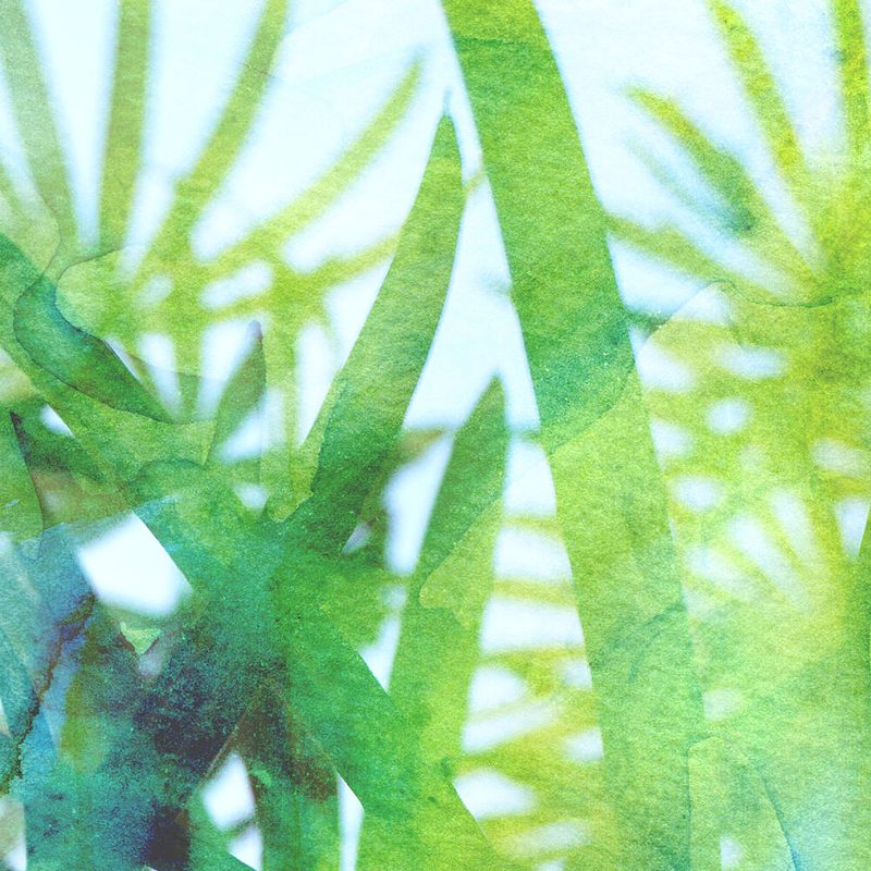 Watercolor Green Grass art print by Danushka Abeygoda for $57.95 CAD
