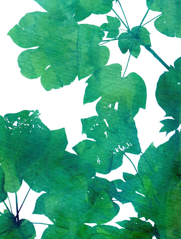 Vibrant Green Leaves art print by Danushka Abeygoda for $57.95 CAD