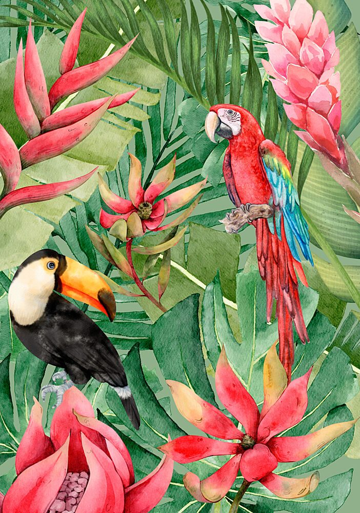 Vibrant Jungle Birds art print by Elizabeth C for $57.95 CAD