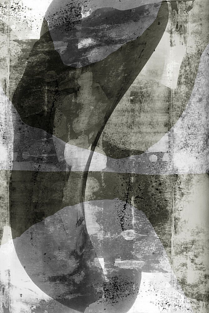 Fluid Monochrome Shapes art print by Cartissi for $57.95 CAD