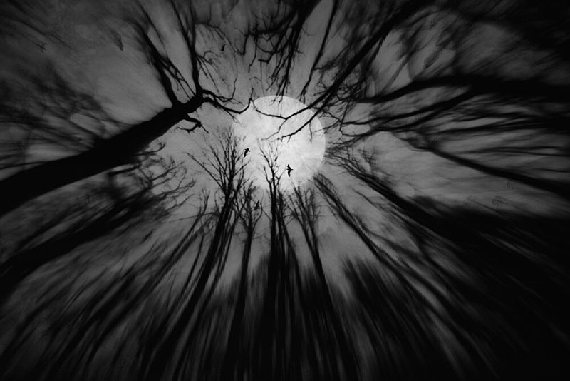Gothic Forest Moon art print by Robert Fabrowski for $57.95 CAD