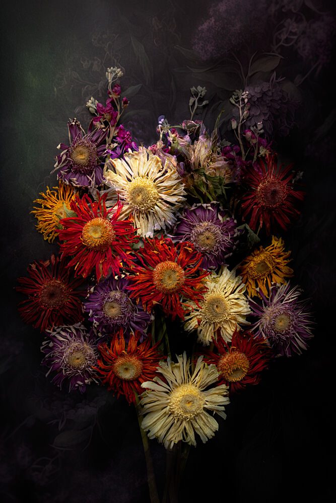 Moody Dried Flowers art print by Michelle Newport for $57.95 CAD