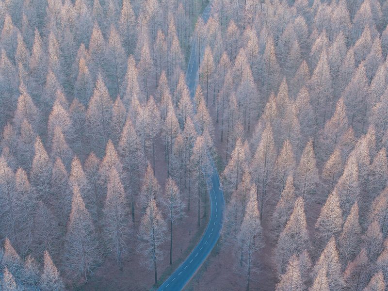 Winding Winter Forest Road art print by Edcool for $57.95 CAD