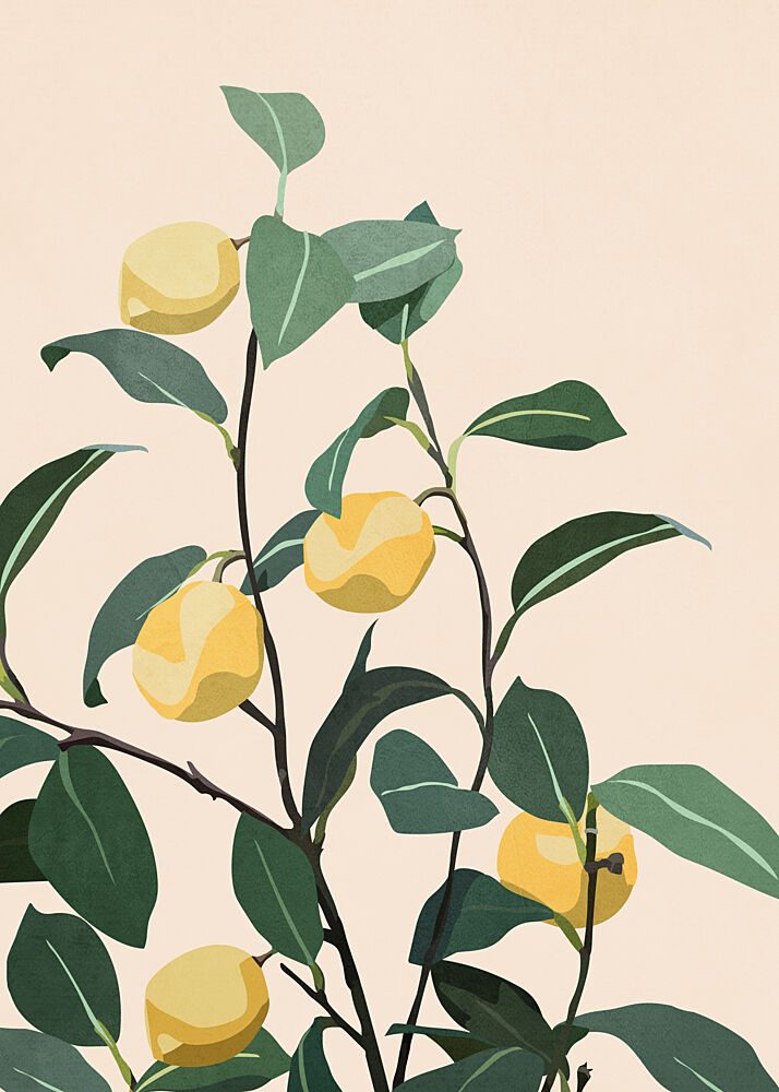 Fresh Lemon Branches art print by City Art for $57.95 CAD
