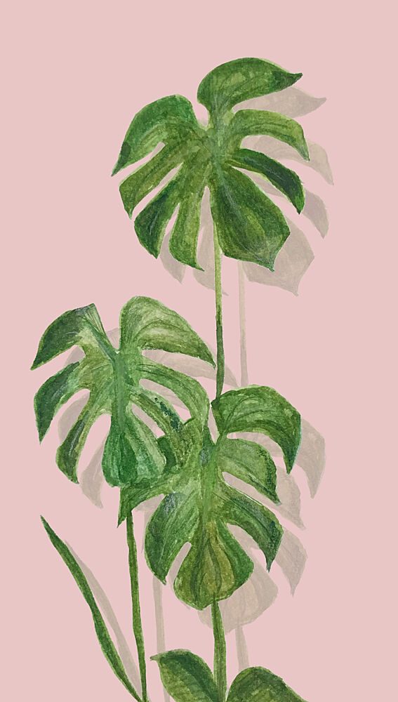 Green Monstera Pink Shadows art print by Elizabeth C for $57.95 CAD