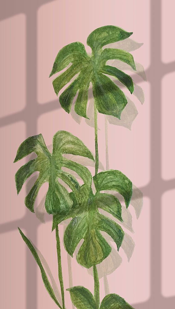 Tropical Monstera Shadows art print by Elizabeth C for $57.95 CAD