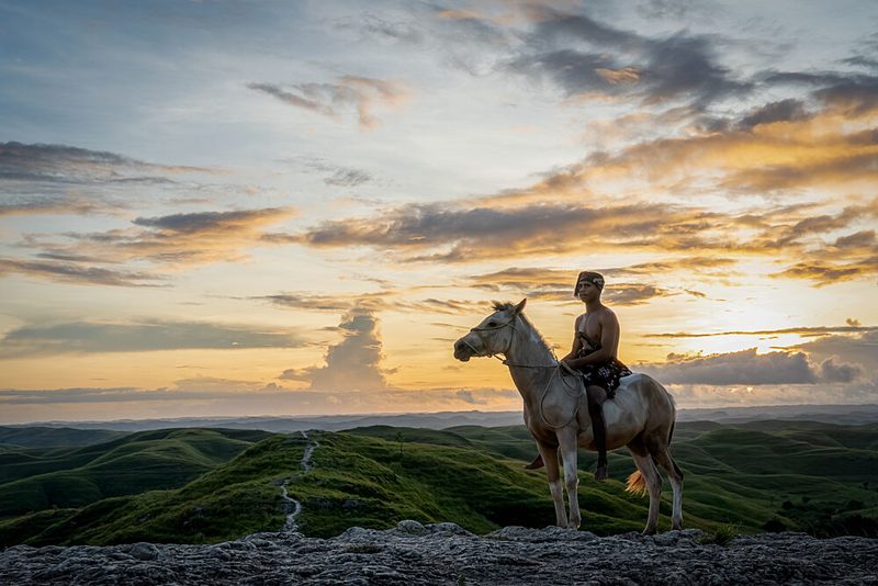 Lone Rider Sunset Hills art print by Els Keurlinckx for $57.95 CAD