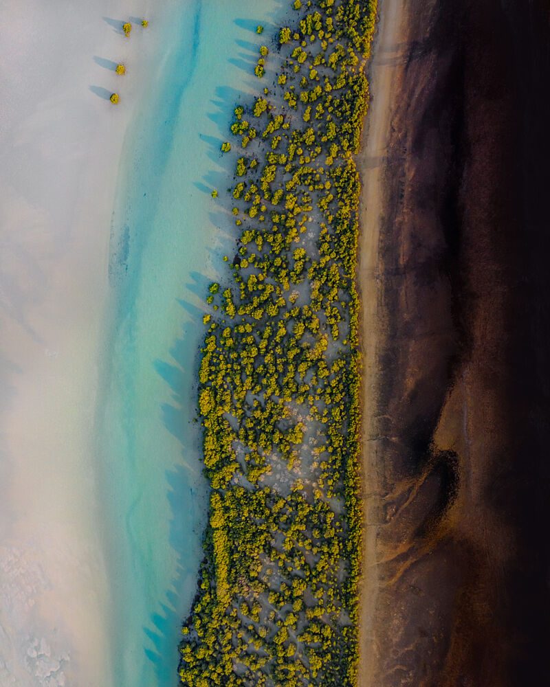 Tropical Mangrove Coastline art print by Ammar Alsayed Ahmed for $57.95 CAD