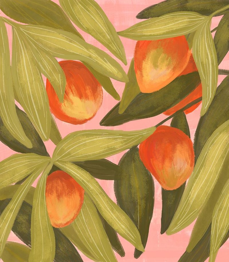 Sweet Peach Grove art print by Aliya Putrus for $57.95 CAD