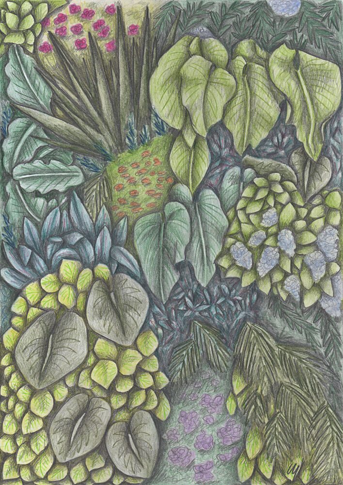 Lush Tropical Garden art print by Cecilia Battaini for $57.95 CAD