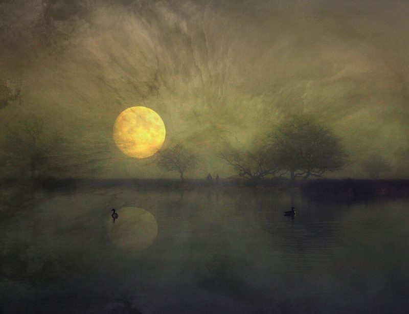 Serene Golden Moon Lake art print by Robert Fabrowski for $57.95 CAD