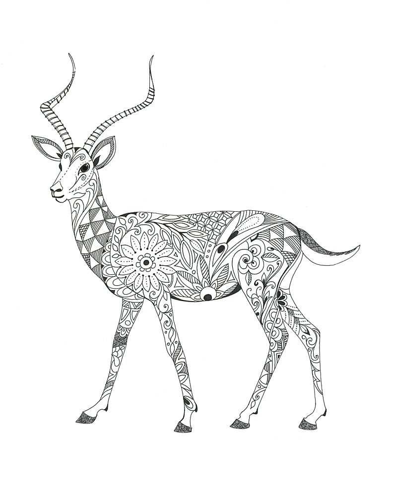 Antelope art print by Isabelle Brent for $57.95 CAD