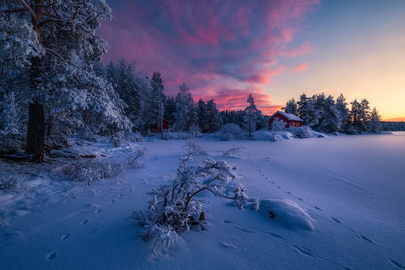 Red Cabin Winter Sunset art print by Ole Henrik Skjelstad for $57.95 CAD