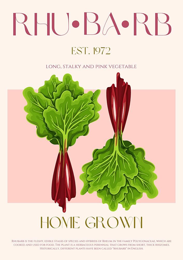 Rhubarb Home Grown art print by Nazma Khokhar for $57.95 CAD