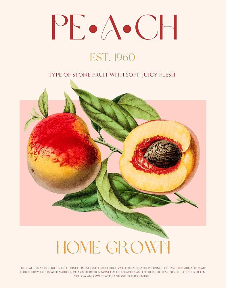 Classic Peach Illustration art print by Nazma Khokhar for $57.95 CAD
