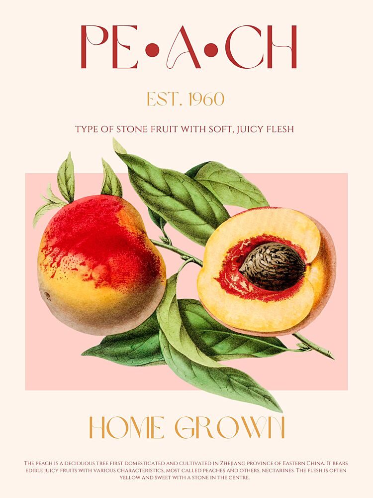Ripe Vintage Peaches art print by Nazma Khokhar for $57.95 CAD