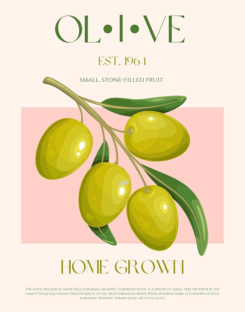 Home Grown Olive Branch art print by Nazma Khokhar for $57.95 CAD