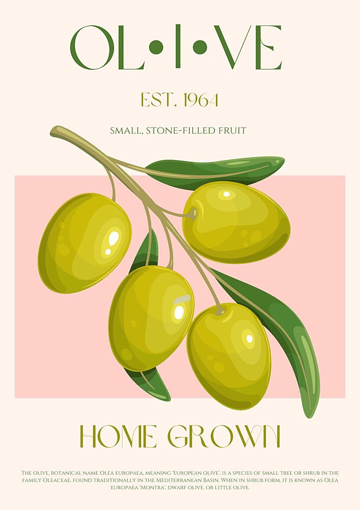 Home Grown Olives art print by Nazma Khokhar for $57.95 CAD
