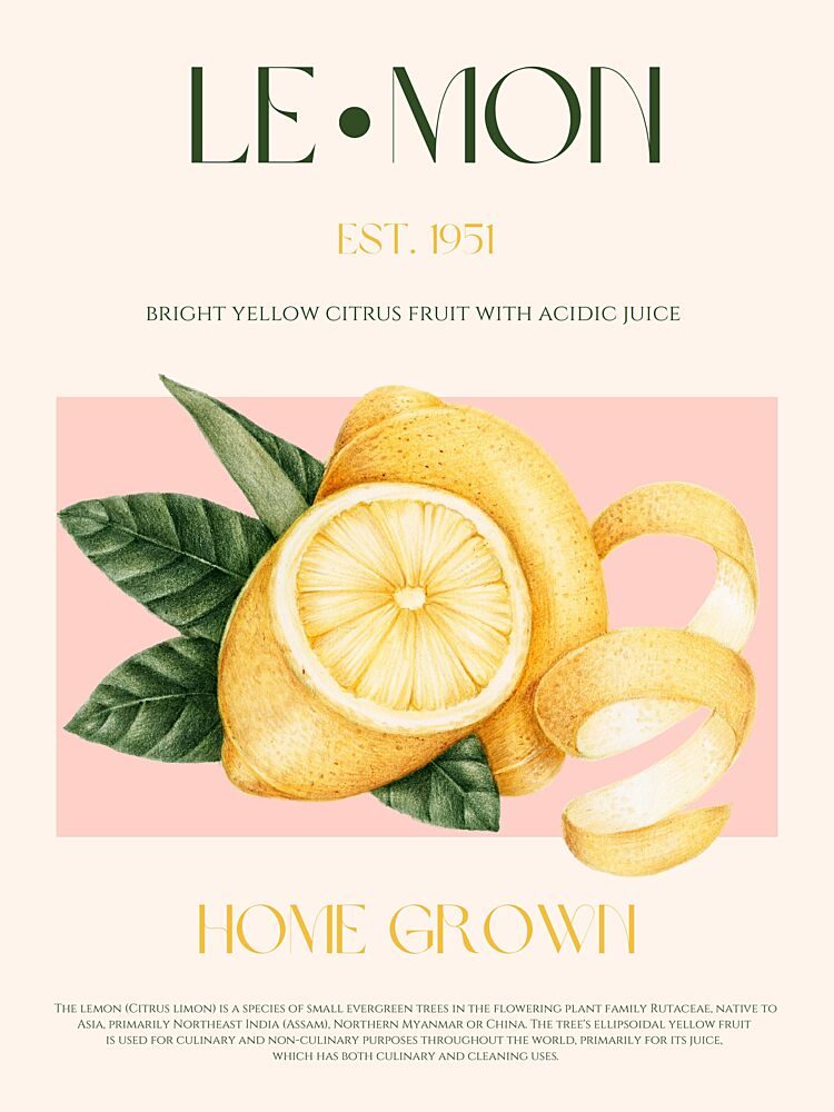 Sunny Lemon Citrus art print by Nazma Khokhar for $57.95 CAD