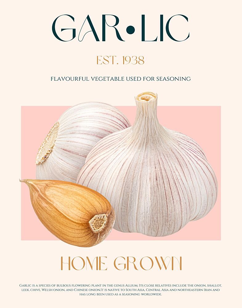 Fresh Garlic Bulbs art print by Nazma Khokhar for $57.95 CAD
